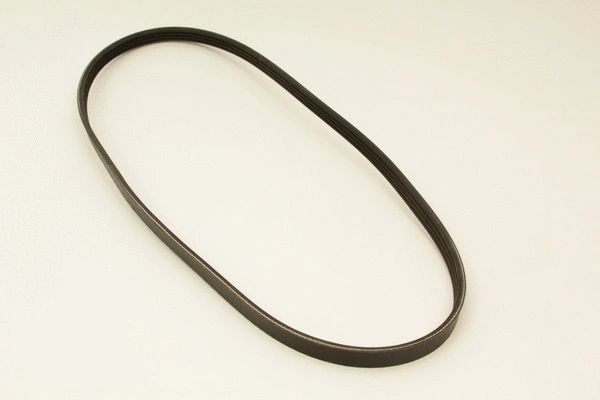 V-Ribbed Belt (4PK1025)