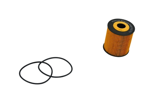 Oil Filter (FH070z)