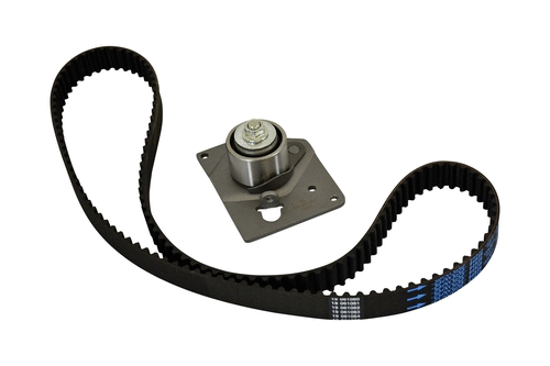 Timing Belt Kit (40089z)