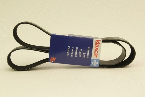 V-Ribbed Belt (10PK1462)