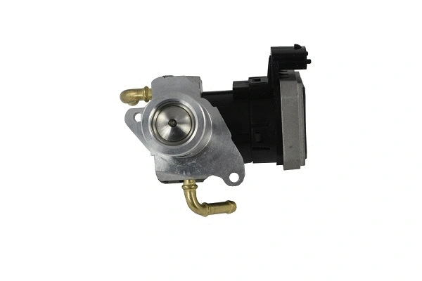 EGR Valve (50022z)