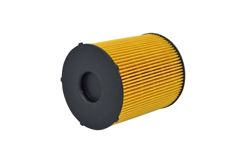 Fuel Filter (FE076z)