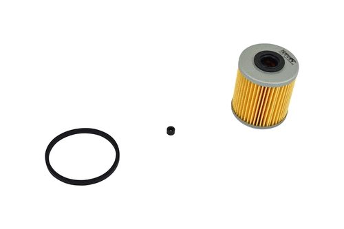 Fuel Filter (FE065z)