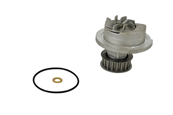 Water Pump, engine cooling (42137z)