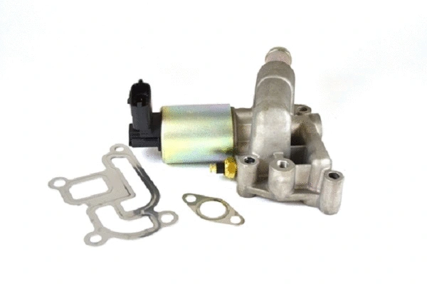 EGR Valve (50042z)