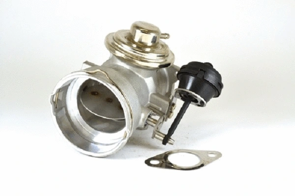 EGR Valve (50043z)