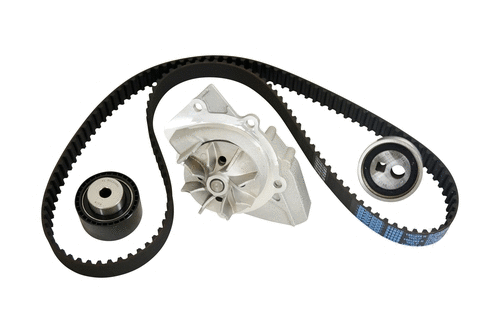 Water Pump & Timing Belt Kit (40542z)