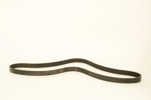 V-Ribbed Belt (7PK1550)