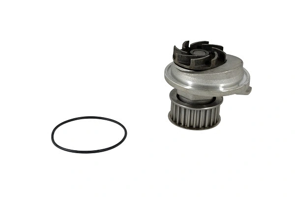 Water Pump, engine cooling (42053z)
