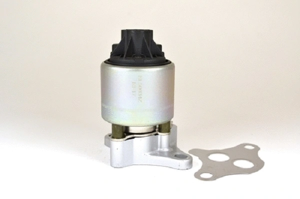 EGR Valve (50034z)