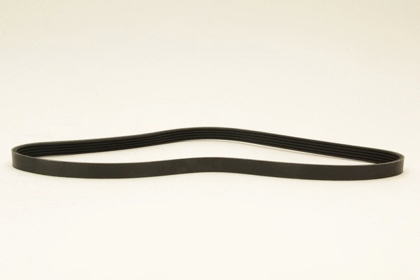 V-Ribbed Belt (5PK1038)