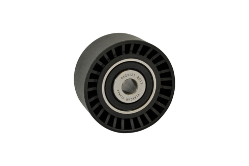 Deflection/Guide Pulley, timing belt (RX23121)
