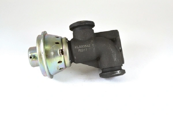 EGR Valve (50054z)