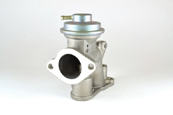 EGR Valve (50047z)