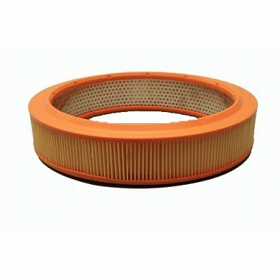 Air Filter (FA013z)