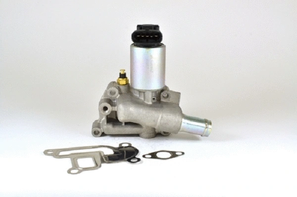 EGR Valve (50016z)
