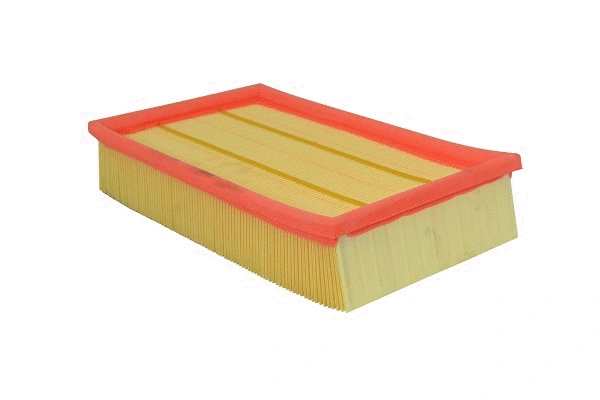 Air Filter (FA242z)