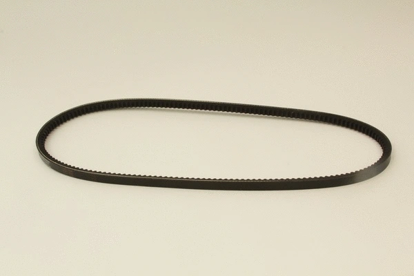 V-Belt (60315s)