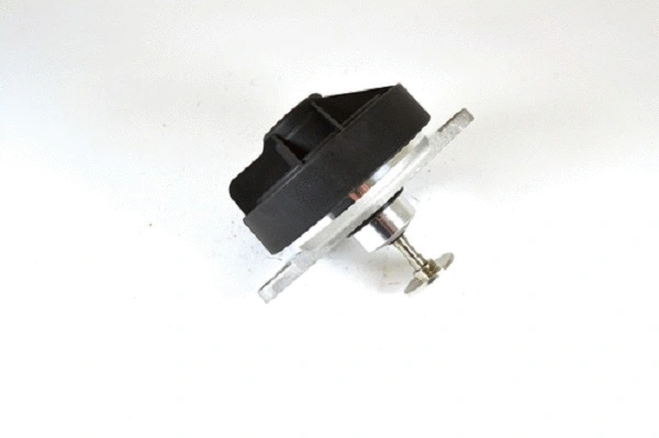 EGR Valve (50015z)