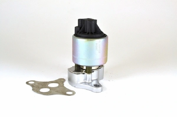 EGR Valve (50032z)