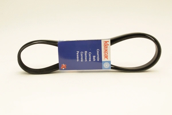 V-Ribbed Belt (5PK1750)