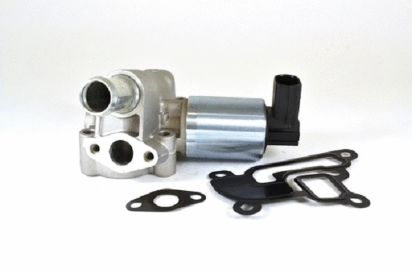 EGR Valve (50060z)
