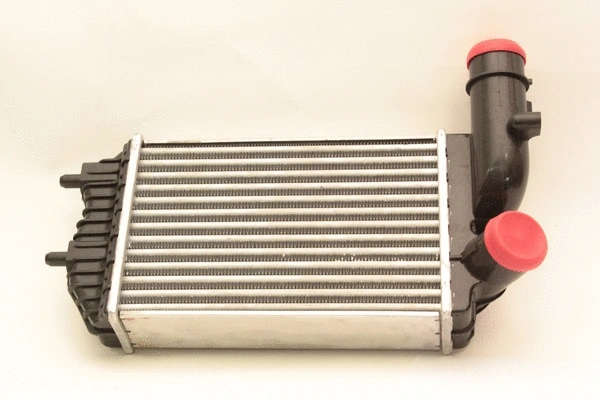 Charge Air Cooler (80088b)