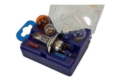 Bulbs Assortment (86389z)