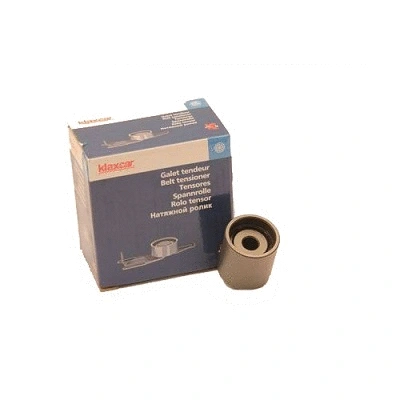 Deflection/Guide Pulley, timing belt (RX21012)