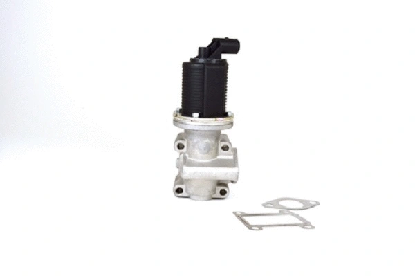 EGR Valve (50010z)