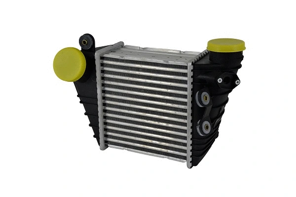 Charge Air Cooler (80098z)