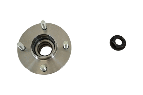 Wheel Bearing Kit (22109z)