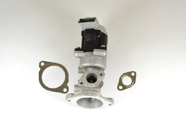 EGR Valve (50030z)
