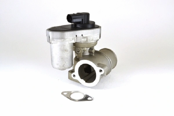 EGR Valve (50040z)
