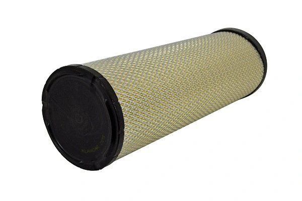 Secondary Air Filter (FA189z)