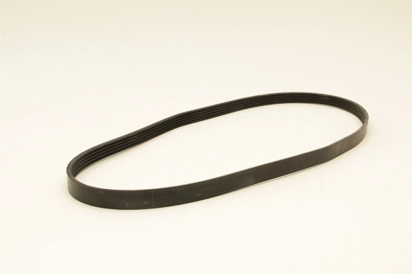 V-Ribbed Belt (5PK1163)