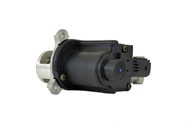 EGR Valve (50062z)