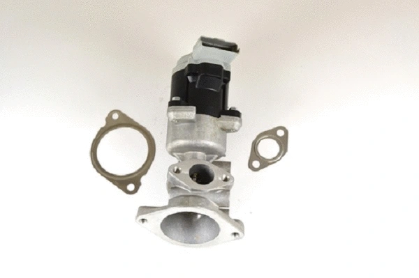 EGR Valve (50049z)