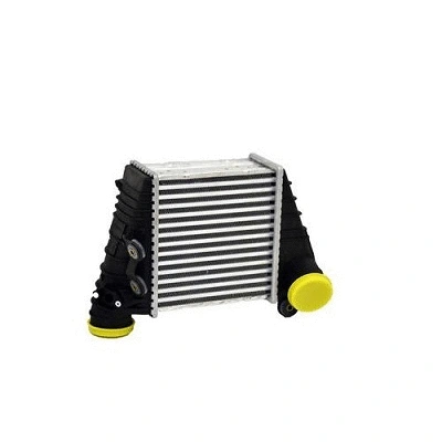 Charge Air Cooler (80098b)