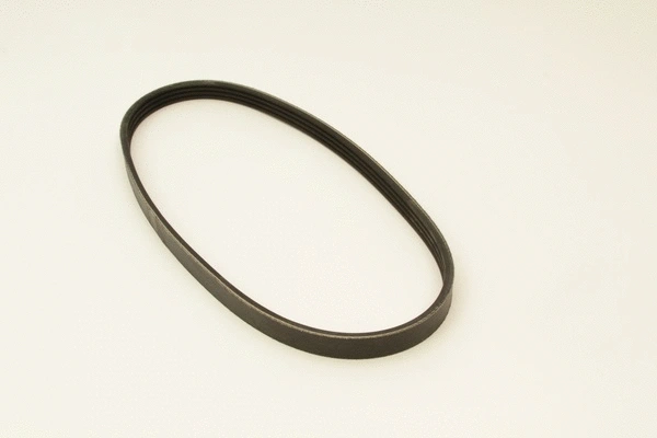 V-Ribbed Belt (4PK700)