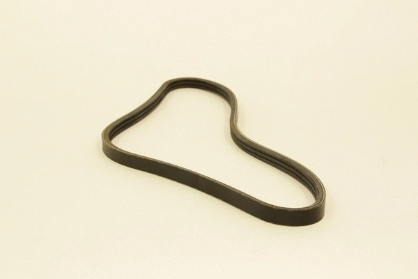 V-Ribbed Belt (3PK780)
