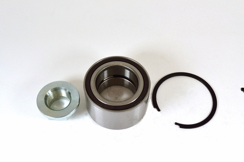 Wheel Bearing Kit (22162z)
