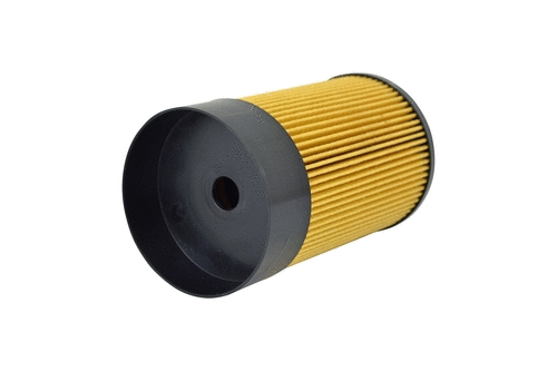 Fuel Filter (FE111z)