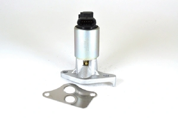 EGR Valve (50017z)