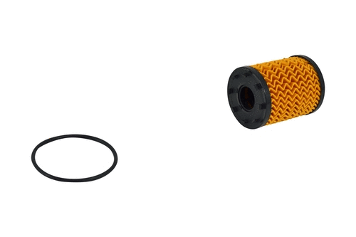 Oil Filter (FH020z)