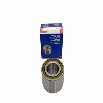 Wheel Bearing (22117z)