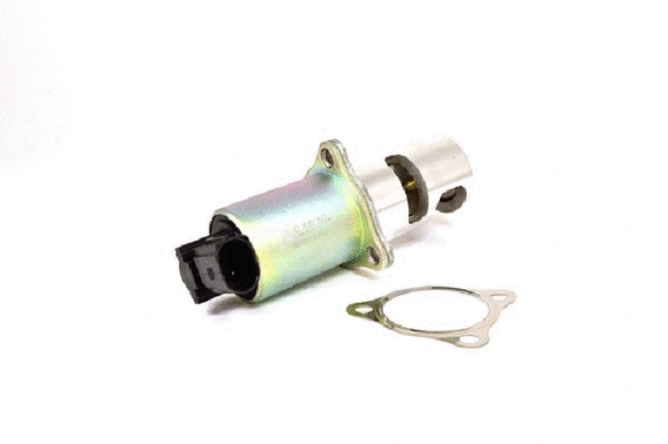 EGR Valve (50007z)