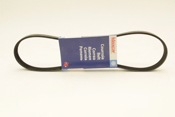V-Ribbed Belt (5PK850)
