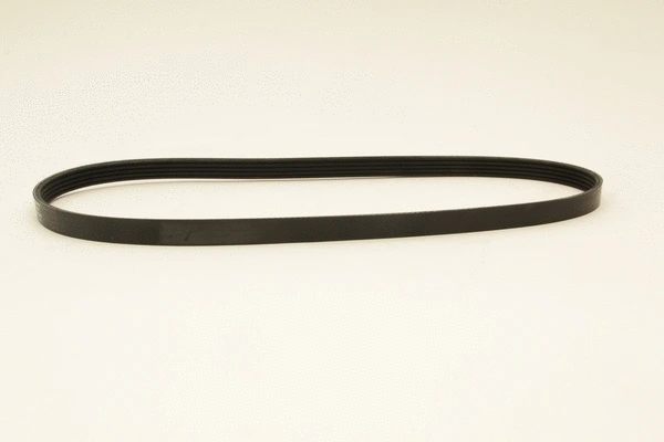 V-Ribbed Belt (5PK975)