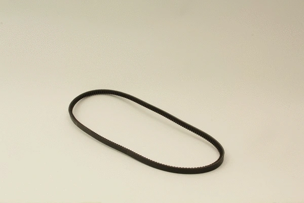 V-Belt (60319s)